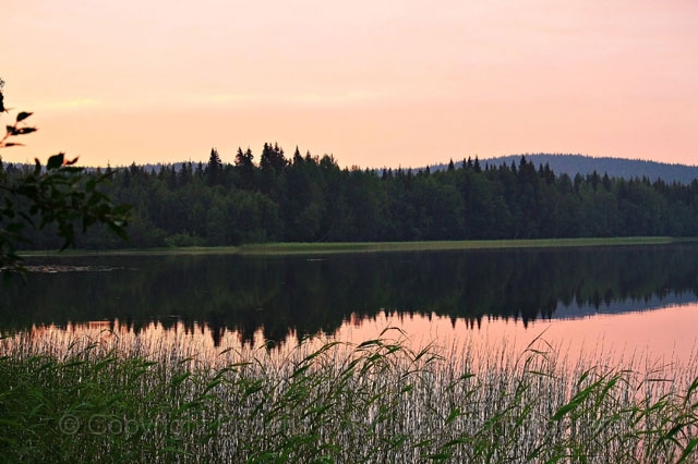 2-kustrask.klar.JPG - Kusträsk