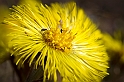 20120516_hästhov_72