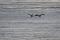 20130501_storspovar_11