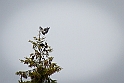 20130510_konflikt_129