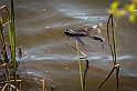 20130518_groda_77