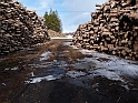 P1080693Svartbäcksvägskäl