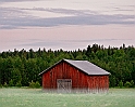Lada-heden-liten