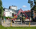 Smorblomman-liten