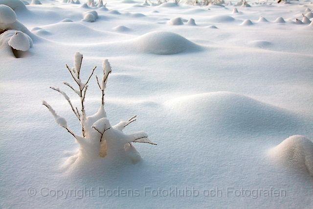 20101227_sävastån_0145.jpg - Vinterbild vid Sävastån