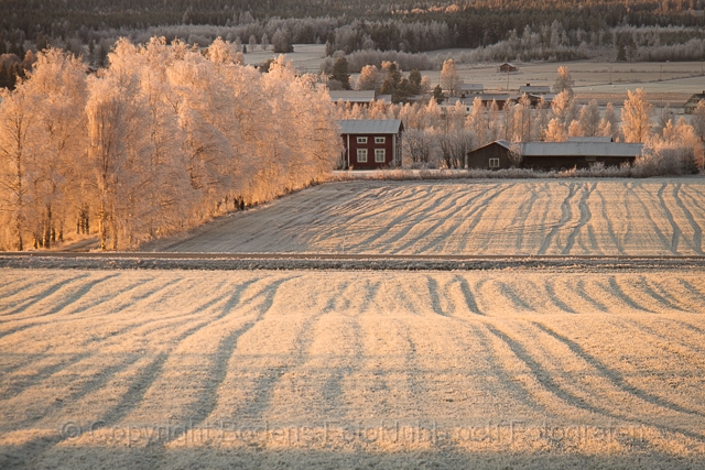 20111113_NorraBredåker_13.jpg - Frost över Norra Bredåker