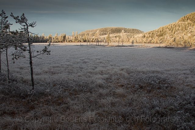 20111113_Älgtjärn_43.jpg - Älgtjärn