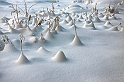 20101227_sävastån_0149