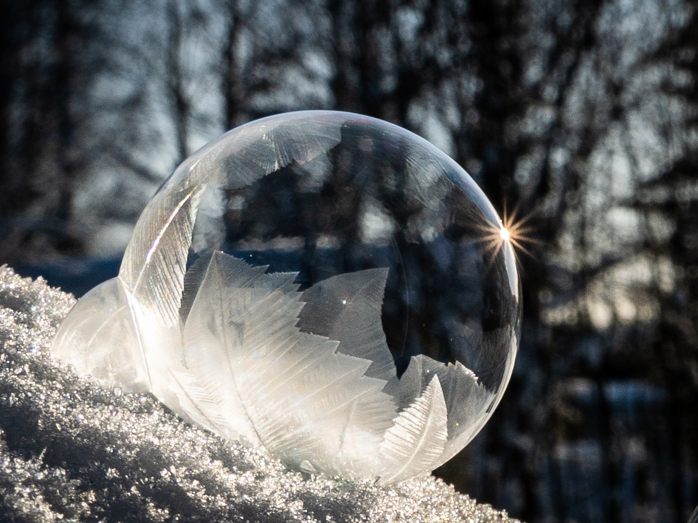 Januari. Tema bubbel. Foto: Christina Lodenius Nyberg